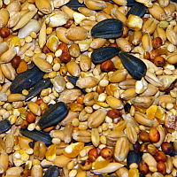 Wild Bird Seed, Suet and Food